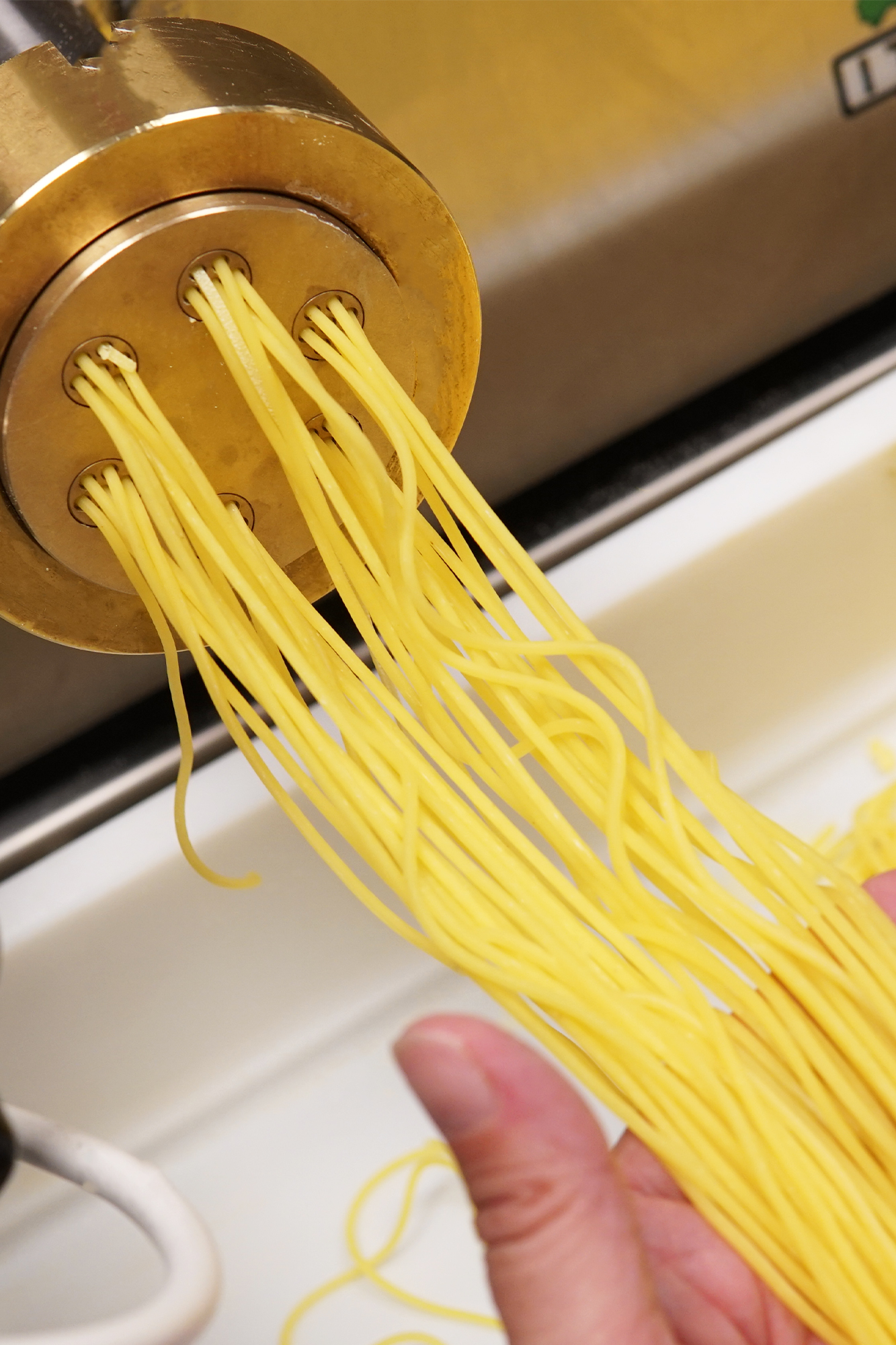 Dolce et Italia , Pizza Hyeres , Pastas Hyeres , Pâtes Hyeres , Dolce Italia Hyeres , Restaurant Hyeres , emporter Hyeres , Pizza à emporter Hyeres , Pâtes à emporter Hyeres , pâtes artisanales hyeres , pâtes maison hyeres , pâtes artisanales hyeres , pizzeria hyeres , restaurant italien hyeres